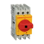 Interrupteur principal Lovato Electric GA063SARY
