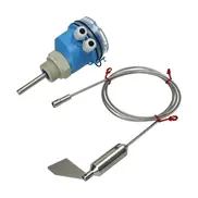 Détecteur de niveau à palette rotative Endress+Hauser Soliswitch FTE20-BI13AF11